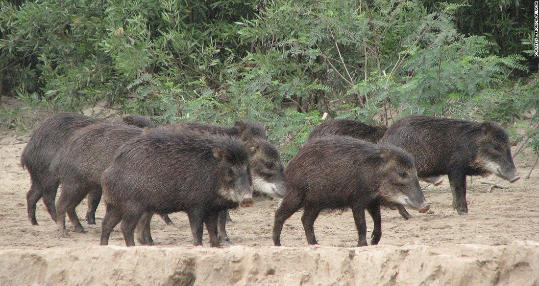 ده ذخیره‌گاه طبیعی در جهان +(تصاویر)