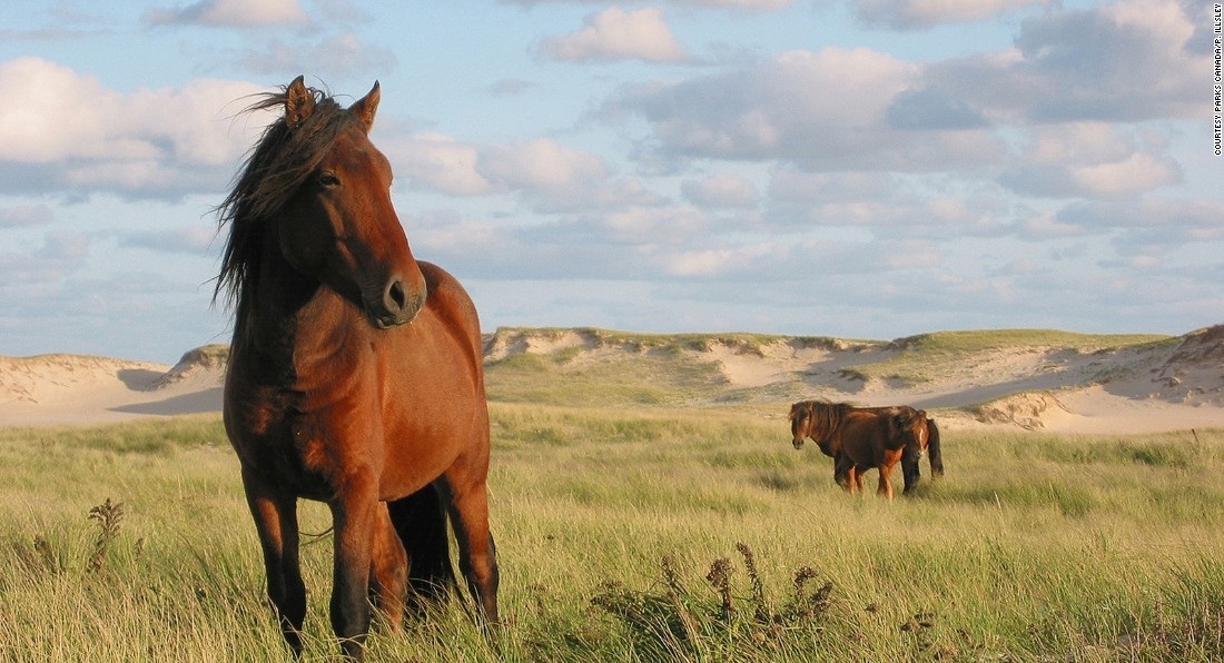 ده ذخیره‌گاه طبیعی در جهان +(تصاویر)