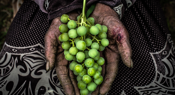 تصویر تصویر