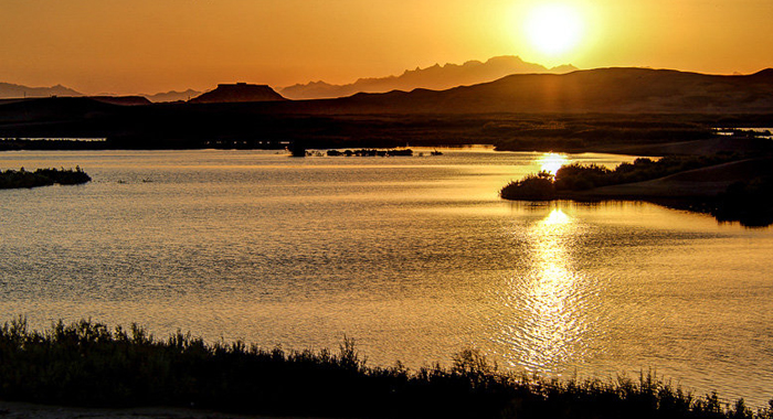 تصویر تصویر
