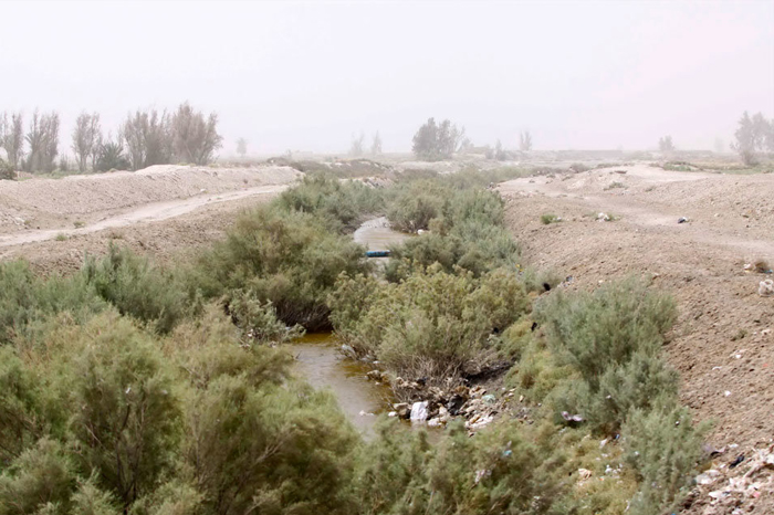 (تصاویر) خشکسالی و شنهای روان در سیستان (تصاویر) خشکسالی و شنهای روان در سیستان