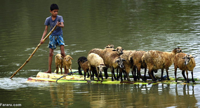 تصویر تصویر