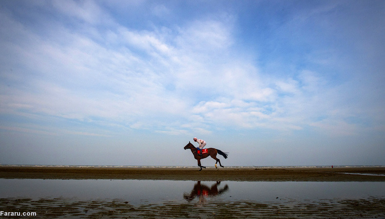 تصویر تصویر