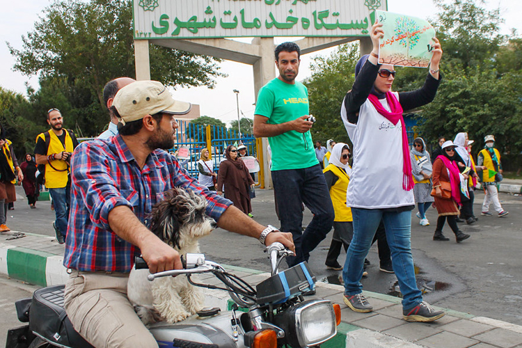 تصویر تصویر