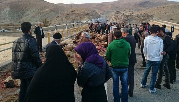 برخورد تریلر با گله گوسفند در بیجار +(تصاویر) برخورد تریلر با گله گوسفند در بیجار +(تصاویر)