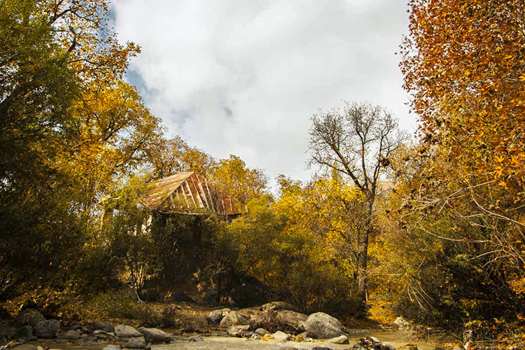 تصویر تصویر
