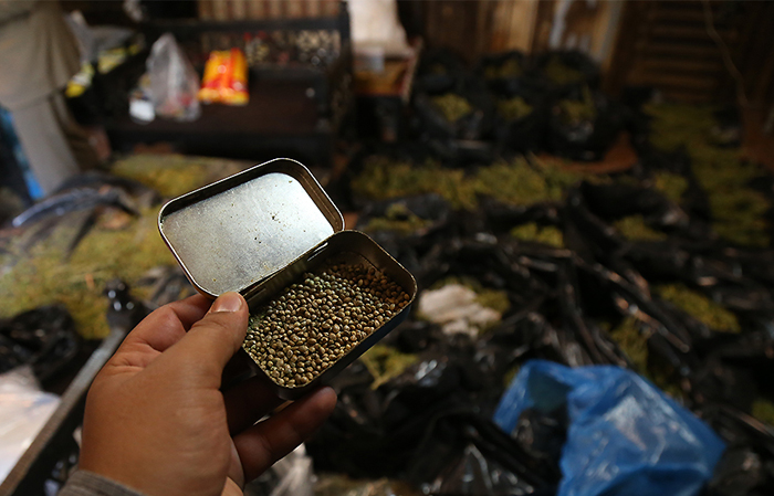 (تصاویر) کشت کیلویی «گراس» در رستوران (تصاویر) کشت کیلویی «گراس» در رستوران