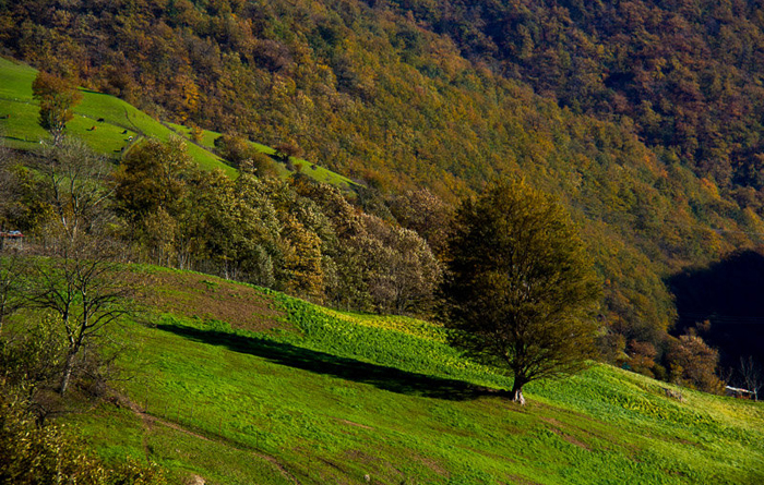 (تصاویر) پائیز در گردنه حیران (تصاویر) پائیز در گردنه حیران
