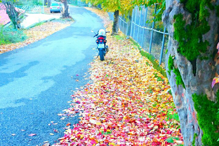 تصویر