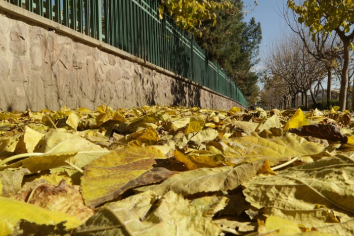 (تصاویر) آخرین روزهای پائیز تهران (تصاویر) آخرین روزهای پائیز تهران
