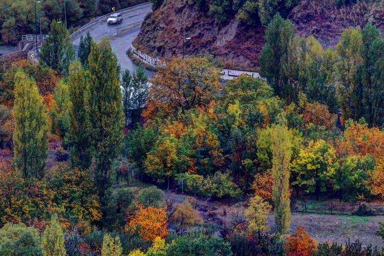 تصویر تصویر