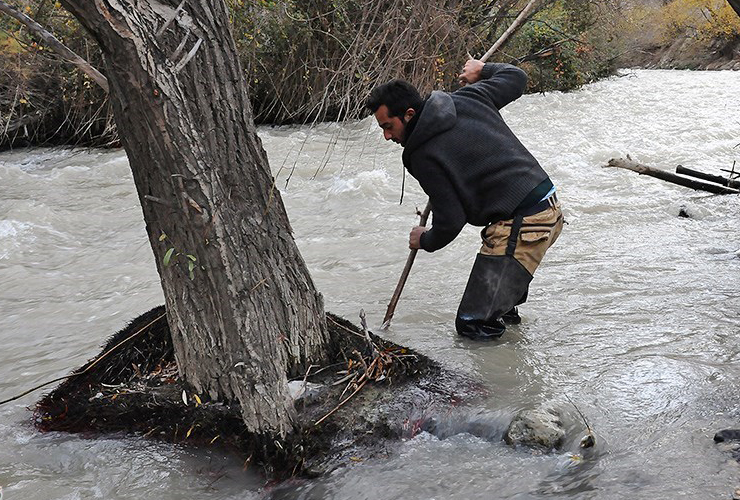 تصویر تصویر