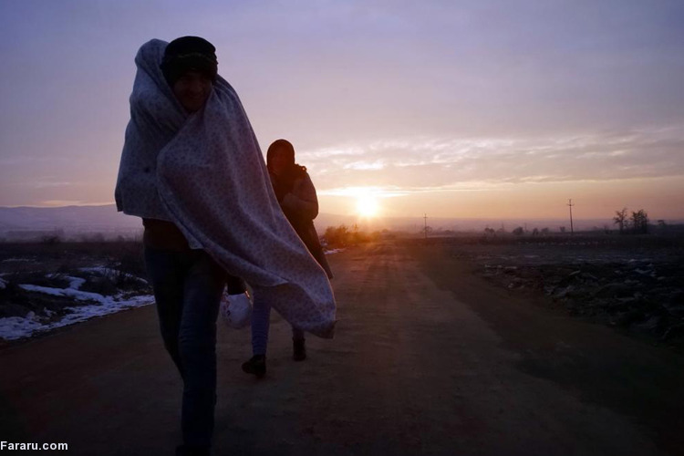 تصویر تصویر