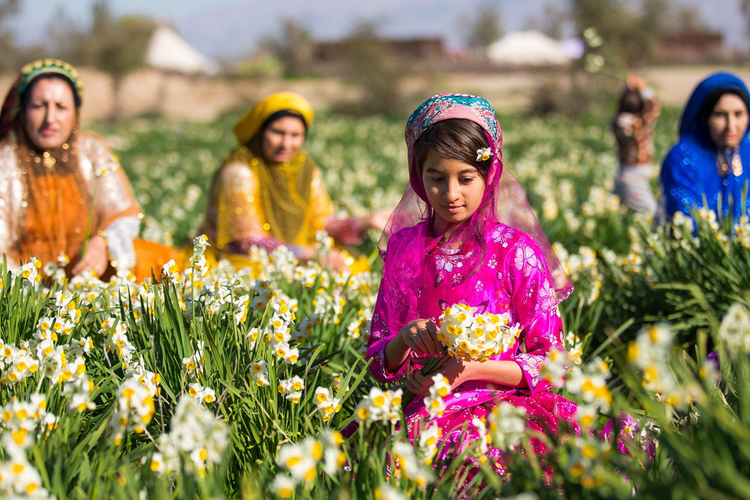 تصویر تصویر