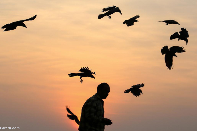 تصویر تصویر