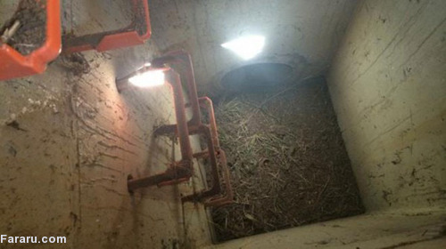 نجات معجزه آسای نوزاد شیرخوار از معبر فاضلاب پس از 6 روز