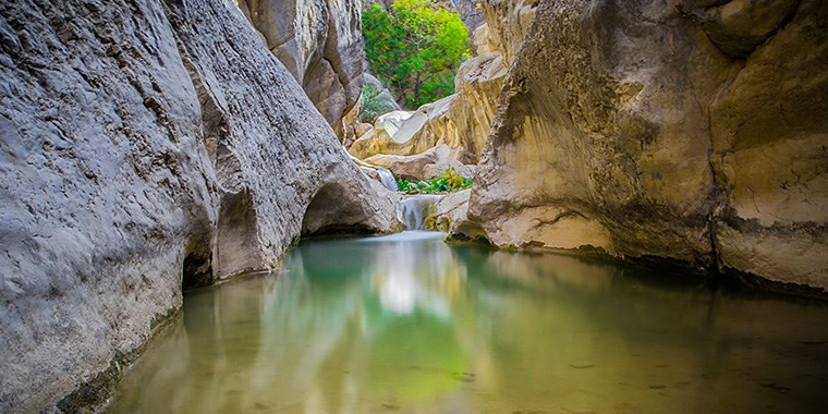 تشییع مرتضی پاشایی، تجمع علاقمندان مرتضی پاشایی، طبیعت زیبایی پاییزی، حریق طولانی در بازار و ... تشییع مرتضی پاشایی، تجمع علاقمندان مرتضی پاشایی، طبیعت زیبایی پاییزی، حریق طولانی در بازار و ...
