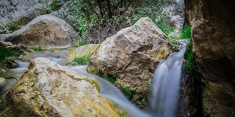 تشییع مرتضی پاشایی، تجمع علاقمندان مرتضی پاشایی، طبیعت زیبایی پاییزی، حریق طولانی در بازار و ... تشییع مرتضی پاشایی، تجمع علاقمندان مرتضی پاشایی، طبیعت زیبایی پاییزی، حریق طولانی در بازار و ...