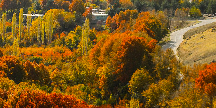 تشییع مرتضی پاشایی، تجمع علاقمندان مرتضی پاشایی، طبیعت زیبایی پاییزی، حریق طولانی در بازار و ... تشییع مرتضی پاشایی، تجمع علاقمندان مرتضی پاشایی، طبیعت زیبایی پاییزی، حریق طولانی در بازار و ...