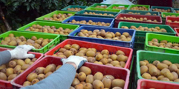دفن شبانه مرتضی پاشایی، تشییع هنرمند تأتر، اشکهای مردم، اعضای باند سرقت و زورگیری، اجرای نمایش و ... دفن شبانه مرتضی پاشایی، تشییع هنرمند تأتر، اشکهای مردم، اعضای باند سرقت و زورگیری، اجرای نمایش و ...
