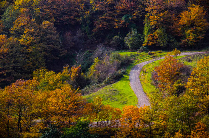 (تصاویر) پاییز در گردنه حیران (تصاویر) پاییز در گردنه حیران