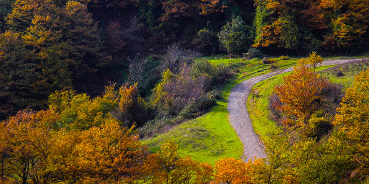 تصویر تصویر