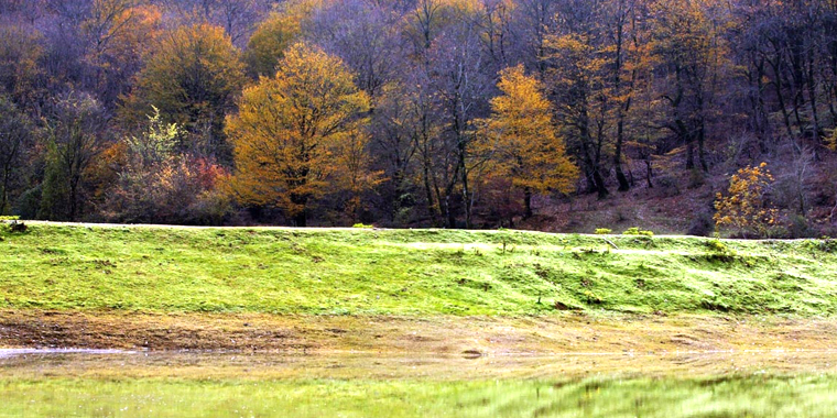 تصویر تصویر