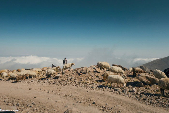(تصاویر) (تصاویر)