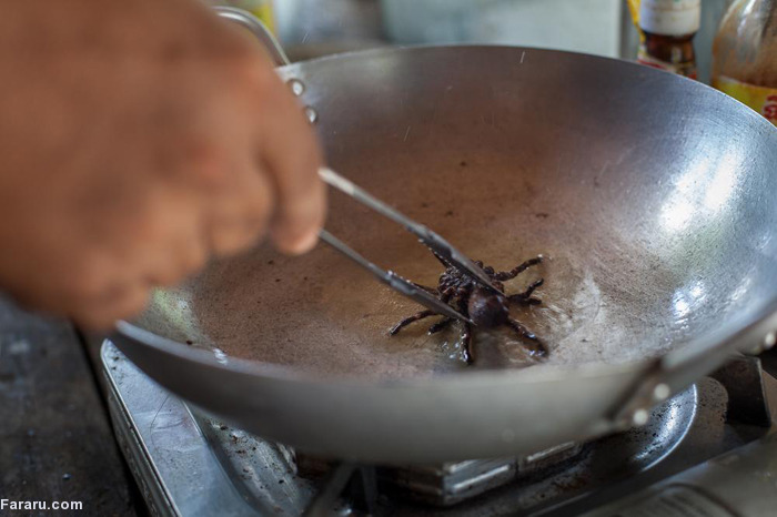 (تصاویر) خوردن رتیل و عنکبوت در کامبوج (تصاویر) خوردن رتیل و عنکبوت در کامبوج