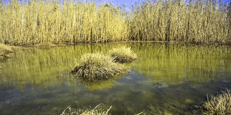تصویر