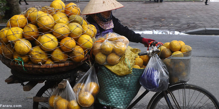 تصویر تصویر