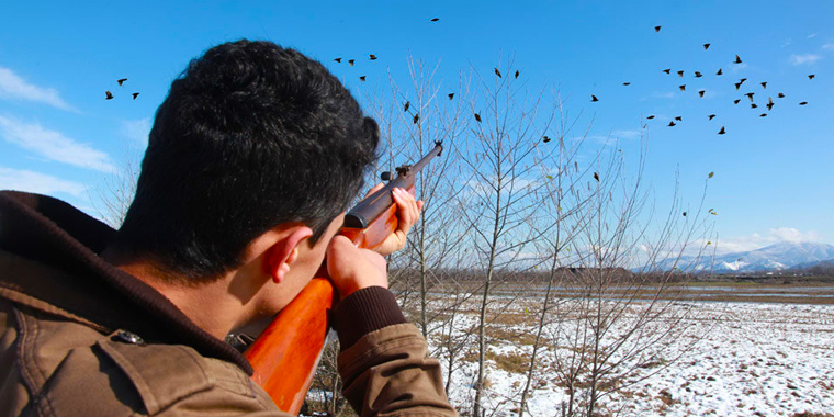 تصویر تصویر