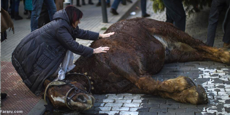 تصویر تصویر
