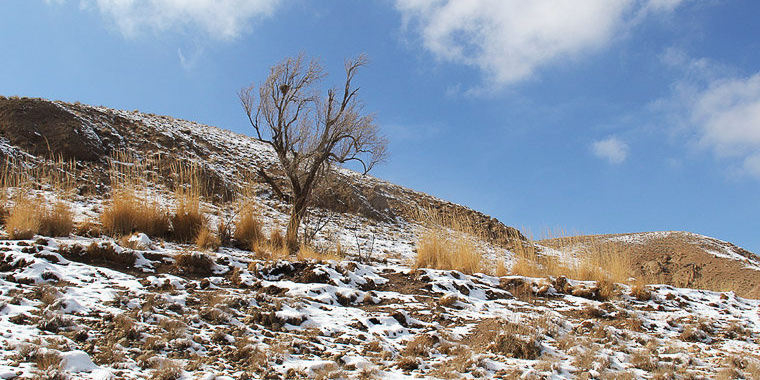 تصویر تصویر
