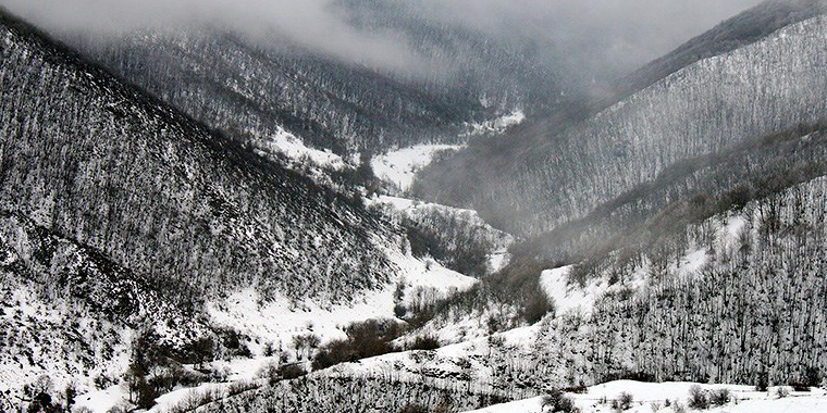 تصویر تصویر