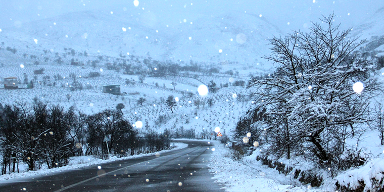 تصویر تصویر