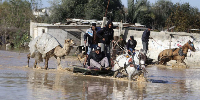 تصویر تصویر