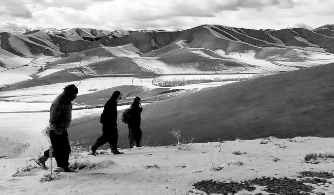 تصویر تصویر