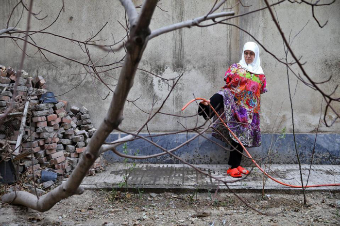 (تصاویر) بازتاب جهانی زندگی (تصاویر) بازتاب جهانی زندگی