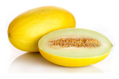 وقتی این بیماریِ مبهم به سراغمان بیاید