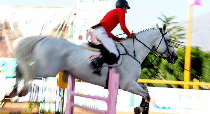 تصویر تصویر
