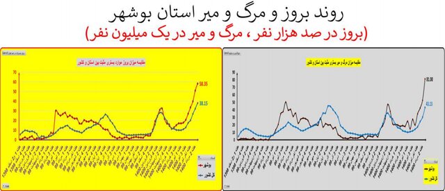 کرونا در ایران