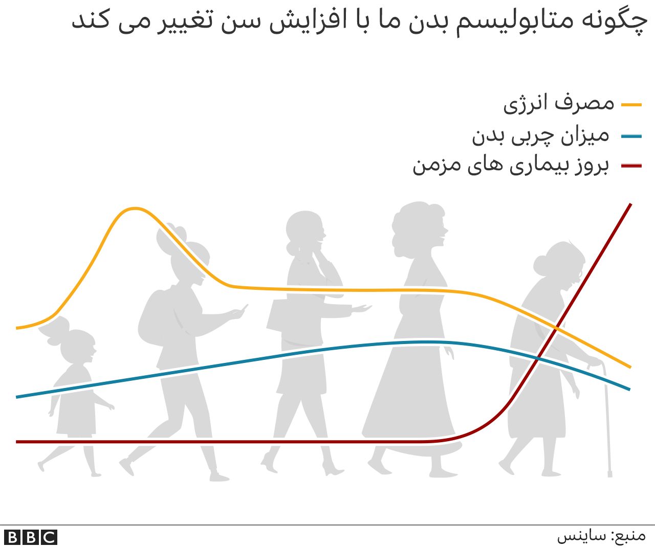 متابولیسم بدن