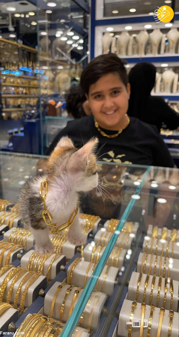 (عکس)