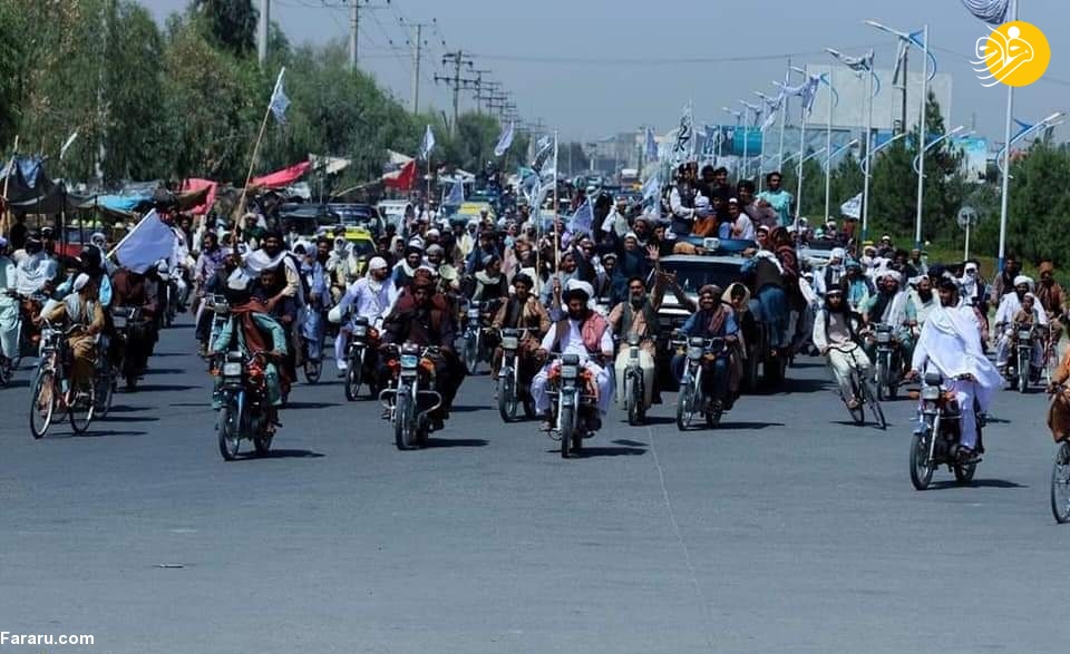 تصاویر تصاویر