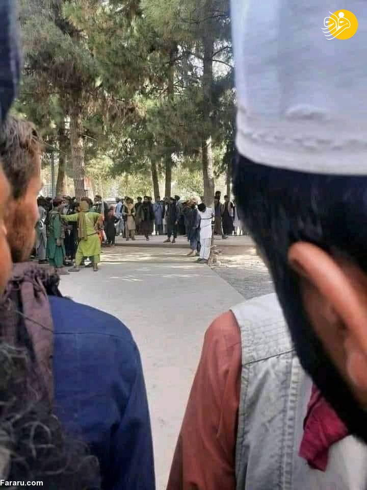 (تصاویر)