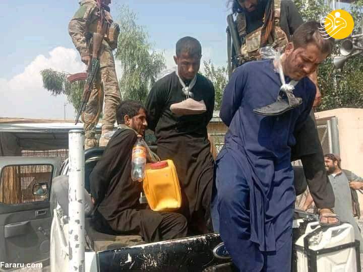 (تصاویر)