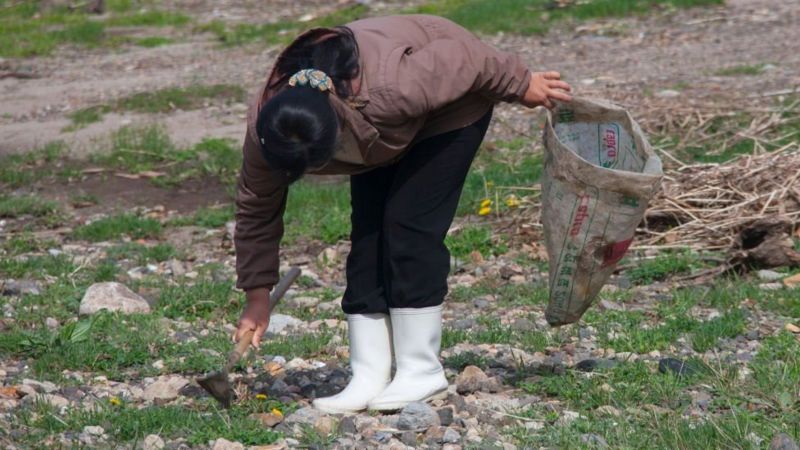 ادعاهای مقام فراری کره‌شمالی؛ ازتولید موادمخدر تا فروش سلاح به ایران