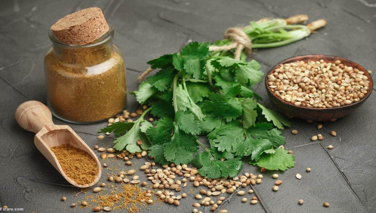 خواص تخم گشنیز