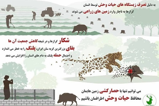 از مصرف گوشت تا نوشتن دعا روی پوست حیوان